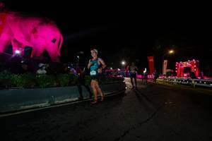 BIB: 
                            <button type="button" onclick="openModal(26552641)" class="btn btn-primary btn-sm float-right btn-popup" data-toggle="modal" data-target=".modal-high-quality">
                        <i class="fas fa-shopping-cart"></i> Add to Cart
                    </button>
                                            <button type="button" onclick="isThisMe(26552641, true)" class="btn btn-success btn-sm float-right btn-popup btn-isme hidden" data-toggle="tooltip" data-placement="bottom" title="นี่คือรูปของคุณใช่ไหม คลิกที่นี่เพื่อเอาเข้าอัลบั้ม">
                        <i class="fas fa-plus"></i> Add to album
                    </button>
                    <button type="button" onclick="isThisMe(26552641, false)" class="btn btn-warning btn-sm float-right btn-popup btn-isnotme hidden">
                        <i class="fas fa-ban"></i> Remove from album
                    </button>